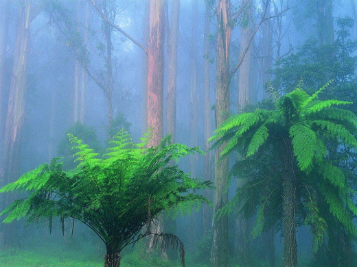 8228 (a): :1024x768